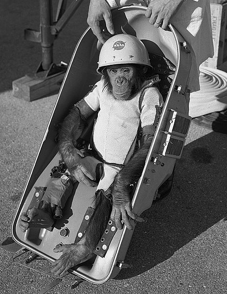 Ham the first chimp into space US space program 1961