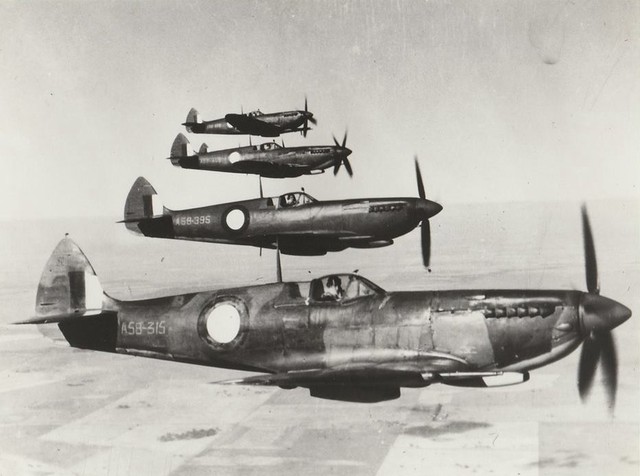 RAAF Supermarine Spitfire Mk.VIII formation circa 1944 
