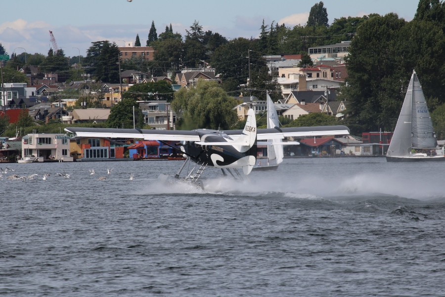 de Havilland Canada DHC-3T Turbine Otter Wild Orca