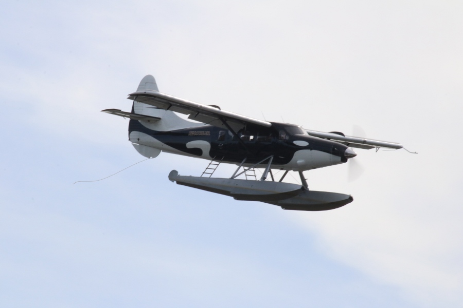Kenmore Air de Havilland Canada DHC-3T Turbine Otter Wild Orca landing