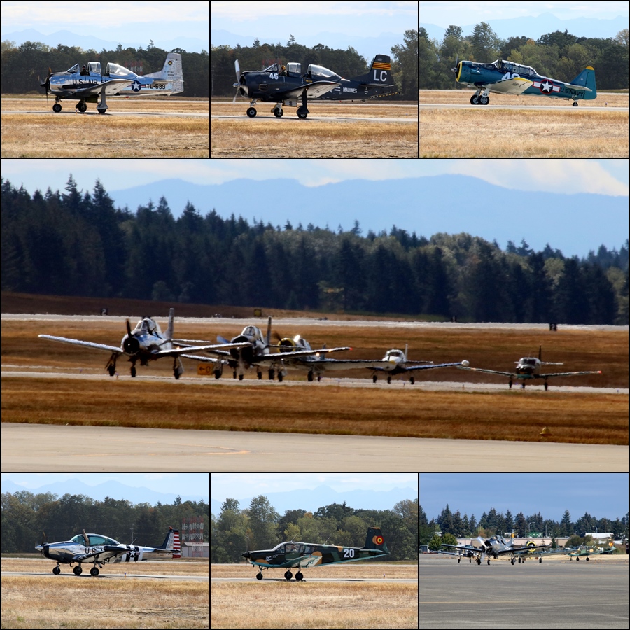 Cascade Warbirds - T-28's, SNJ, IAR-823 & Ryan Navion's JBLM Airshow 2016